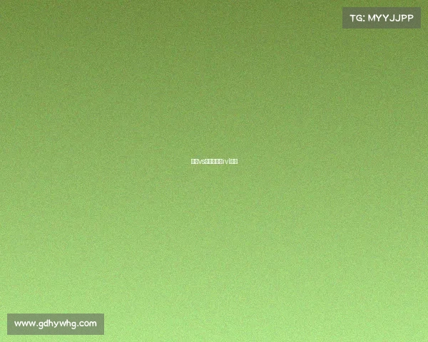 狼队vs都灵赛事—ivl狼队